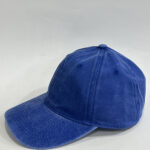 Bleu roi
